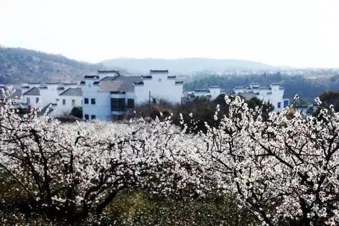 新夺宝英雄